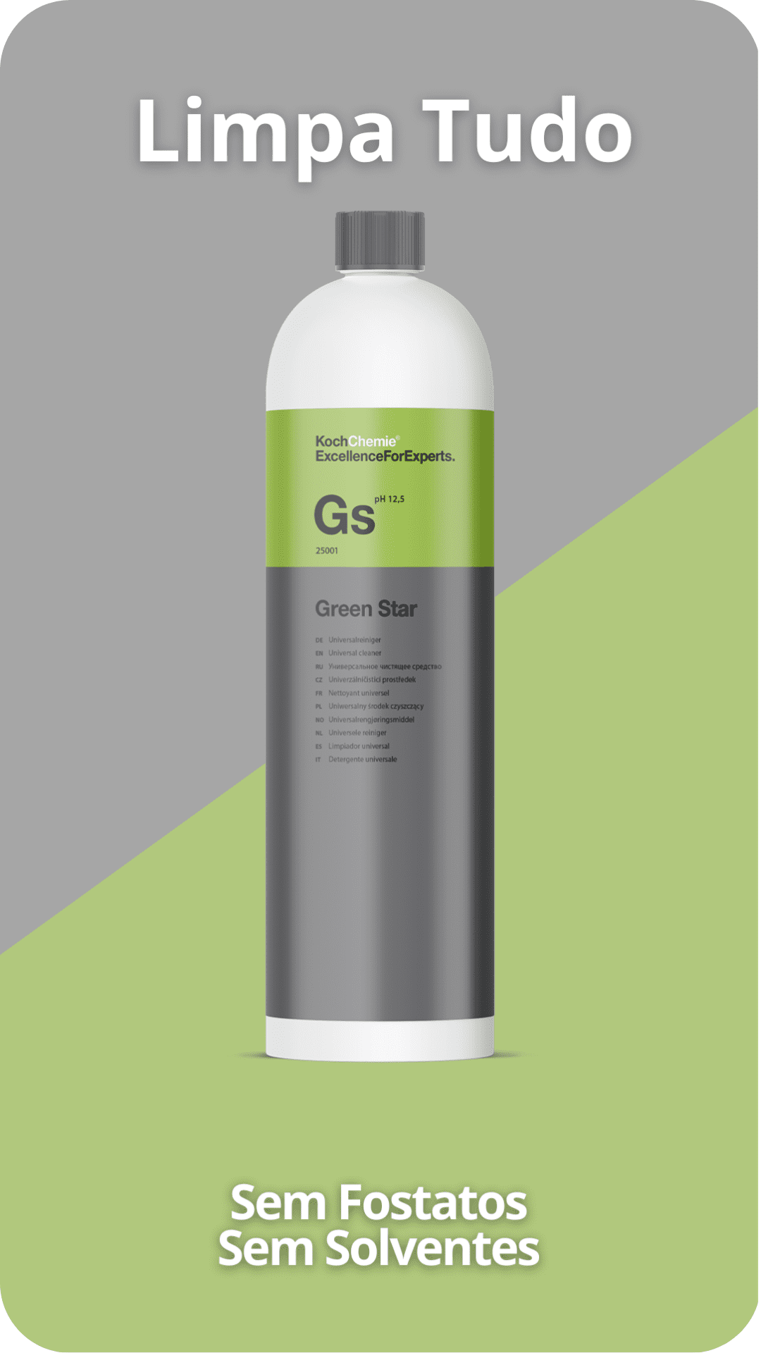 Koch Chemie Green Star “Gs” - Limpa Tudo Concentrado APC