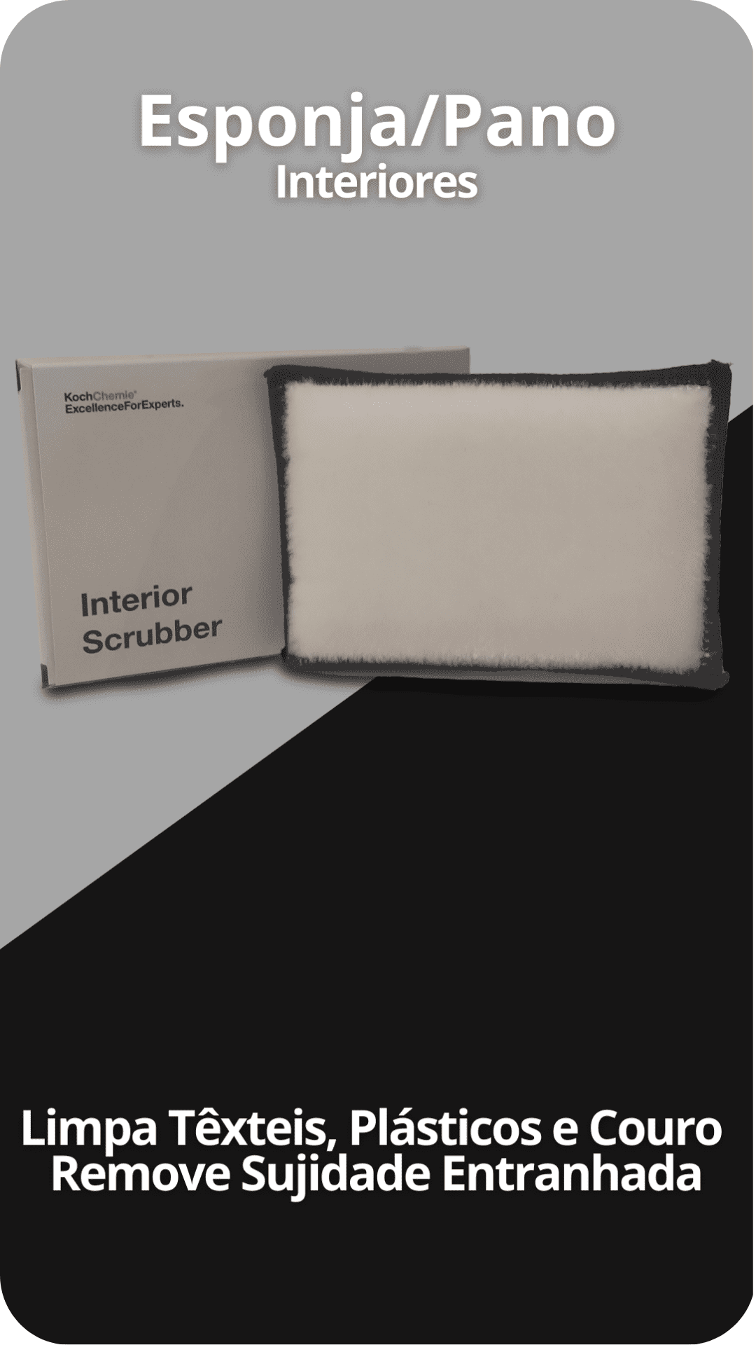 Depuradora Koch Chemie - Depuradora de interiores